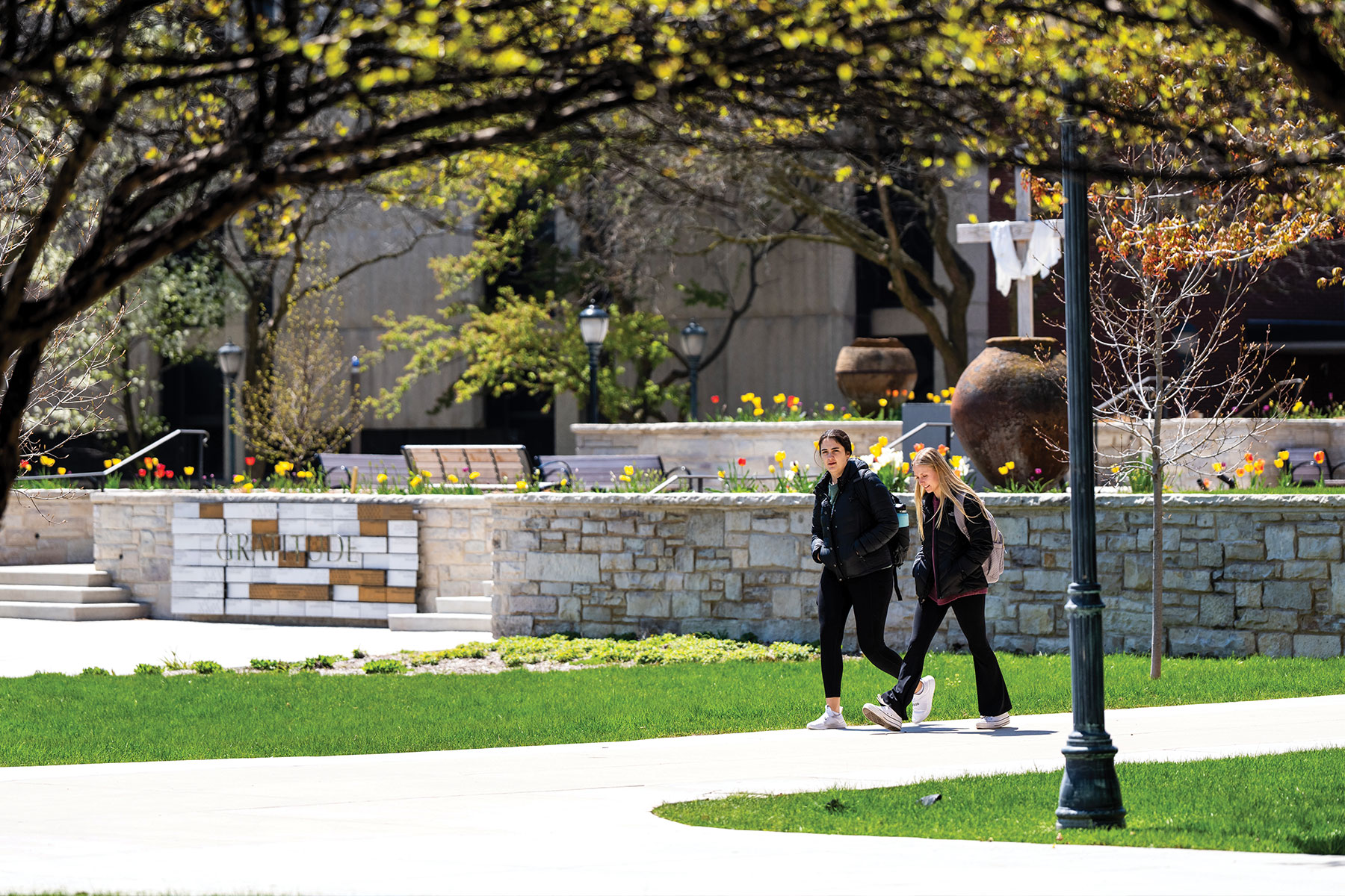 Gifts Through Your Will